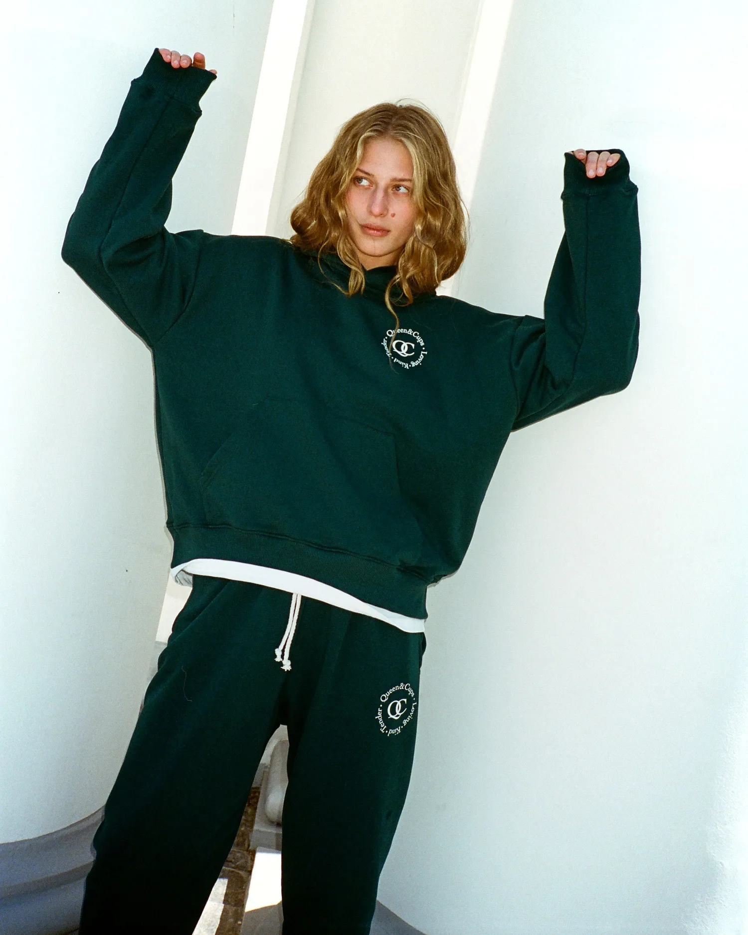 Худи small iconic logo 